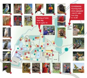 Zoologisk fuglepark - Kort over parken
